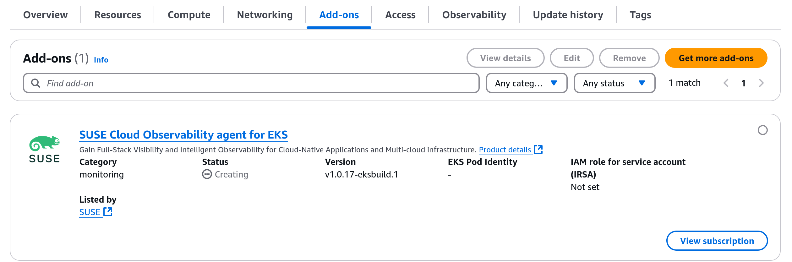 Screenshot of the Add-ons tab of an EKS cluster